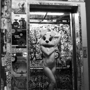 11x17 Amoeba Records Bunny