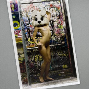 Amoeba Records Vinyl sticker