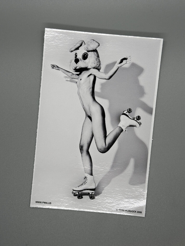 Bunny Skates Photo Style Vinyl sticker